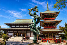 1 nuit à Narita