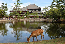 1 jour à Nara