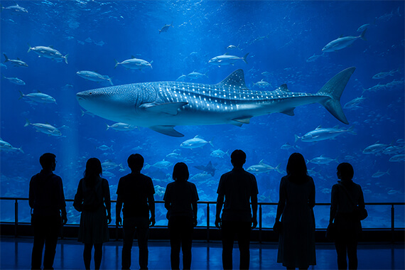 Le grand aquarium d'Osaka