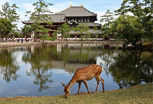 1 jour à Nara