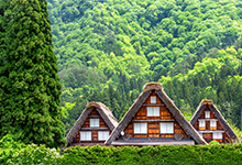 ½ journée au Village de Shirakawago